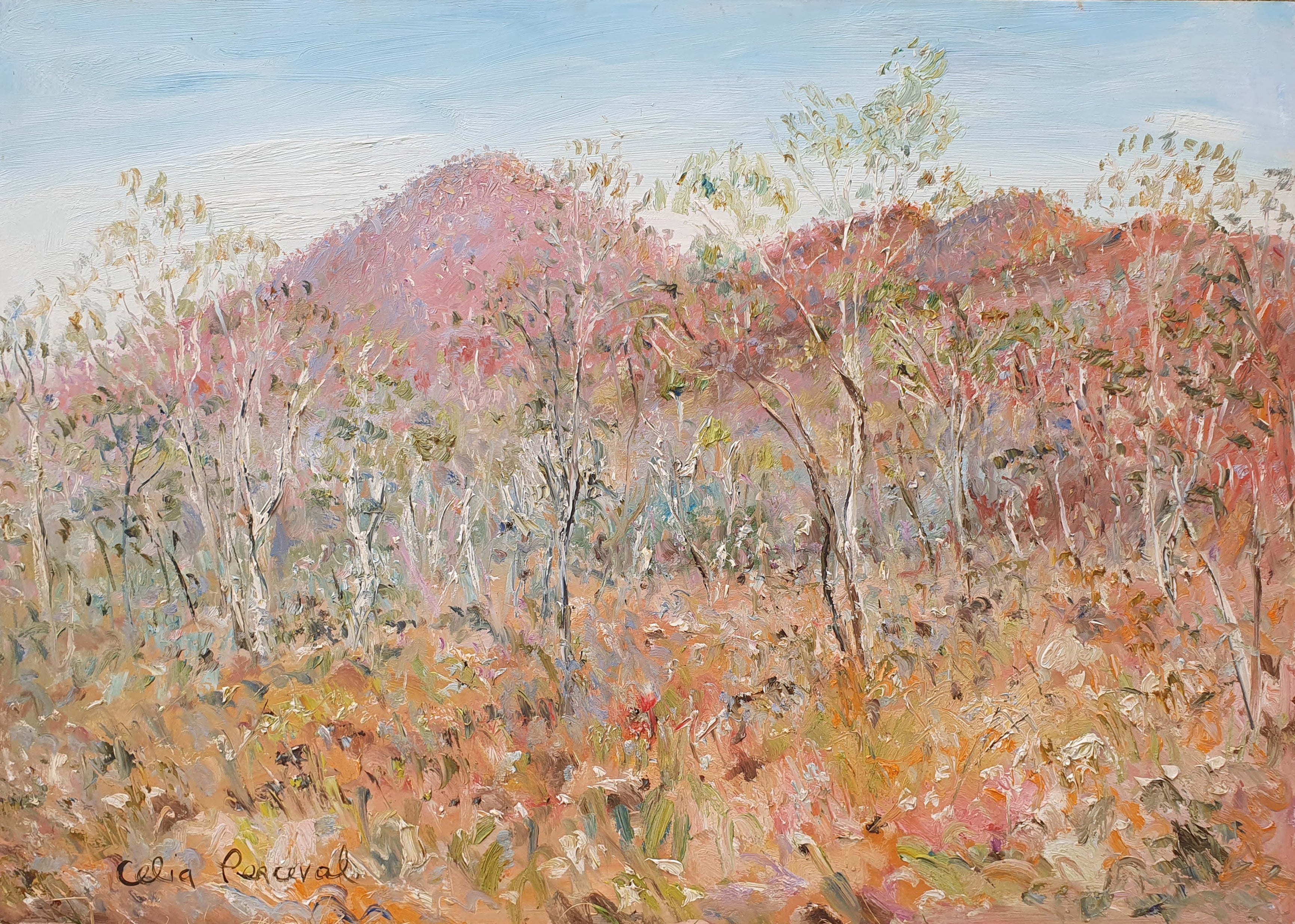 Celia Perceval Paintings and Drawings