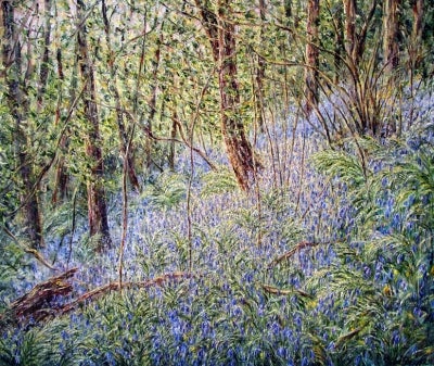Item #1191 Bluebell Woods in the Afternoon Light, South Wales. Tessa Perceval.