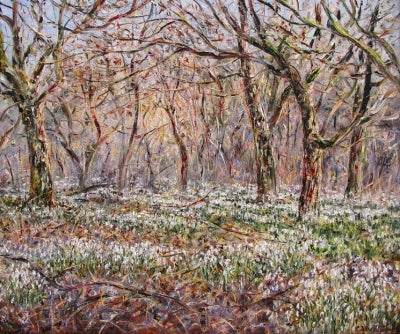 Item #1192 Snowdrops in the Orchard, South Wales. Tessa Perceval.