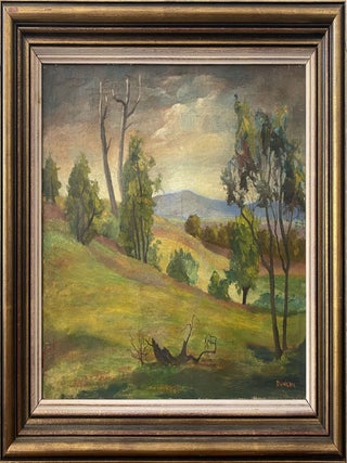 Moss Vale Landscape