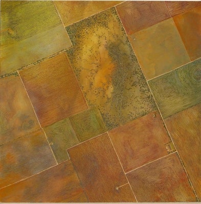 Item #1751 Yellow Earth 2007. Brigid Cole-Adams.