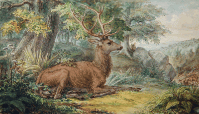 Item #2063 Stag in a Forest 1853. Wilhelm Schmid.