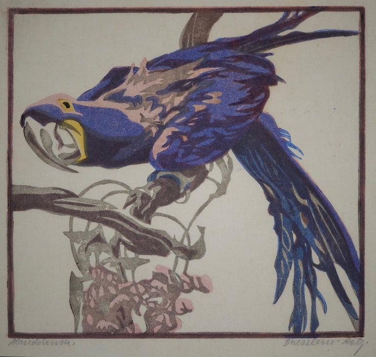 Item #2191 Macaw. N. von Bresslern-Roth.