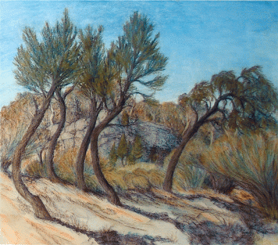 Item #2234 Cypress Pines Above The River. Lucinda Boyd.