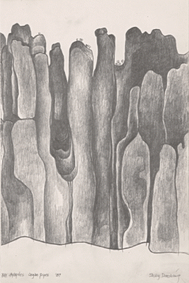 Item #246 Mount Arapiles Organ Pipes 1987. Shay Docking.