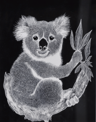 Item #2489 Koala 2004. Linda Newton.