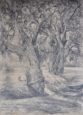 Item #2493 On the Brown Hill Creek At Ashford, Sketched 3 June 1876. G. B. Richardson.