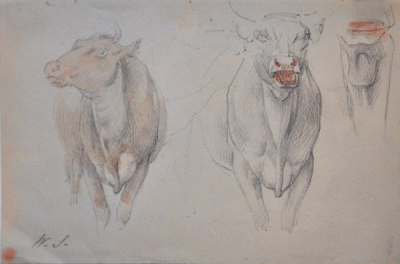 Item #2501 Study of Bullocks. William Strutt.