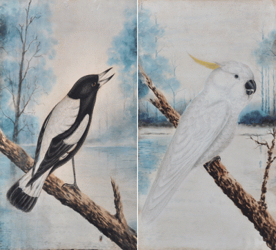 Item #2541 Sulphur Crested Cockatoo and Magpie, a pair. Australian School.