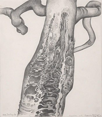 Item #267 Angophora with Stigmata 1983. Shay Docking.