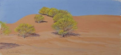 Item #2850 Acacia Scrub & Dune, Strezeleckie Track. Peter Trusler.