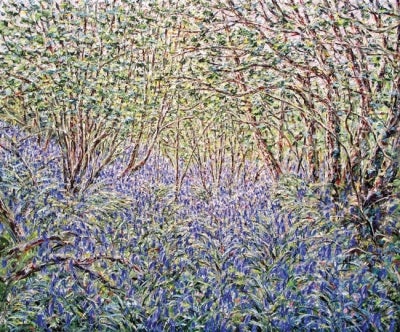 Item #3013 Bluebell Wood in Afternoon Light. Tessa Perceval.