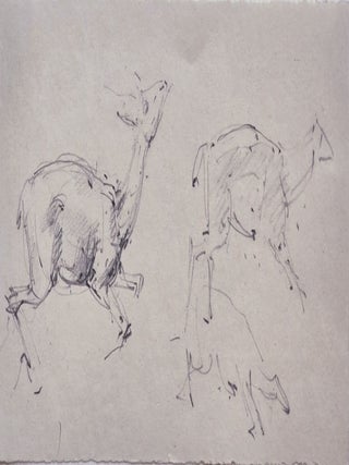 Lions Mode of Attack, Two Studies