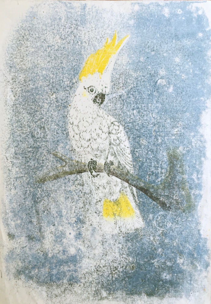 Item #3741 Sulphur Crested Cockatoo 1991. Joyce Meier.