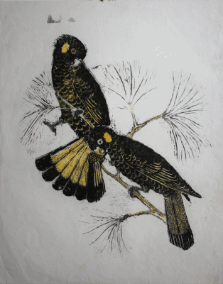 Item #3788 Yellowtailed Black Cockatoos. Joyce Meier.