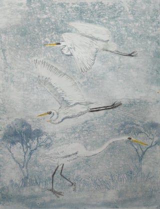 Great Eastern Egret (trio)