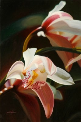 Item #3824 Pink Cymbidium Orchids. William Sykes.