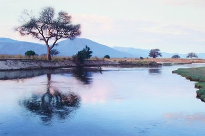 Item #3837 Reflections on the Zambezi River, Mana Pools National Park, Zimbabwe. William Sykes.