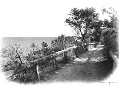 Item #3873 Coastal Path II. William Sykes.