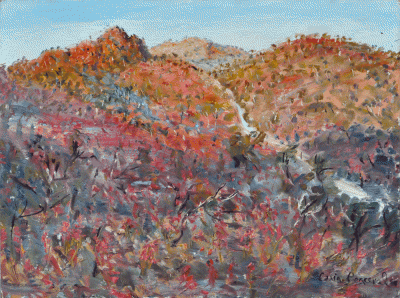 Item #3881 Wild Red Hops, Flinders Ranges 1989. Celia Perceval.