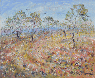 Item #3887 Everlasting Wildflowers, Near Meekatharra, Western Australia. Celia Perceval.