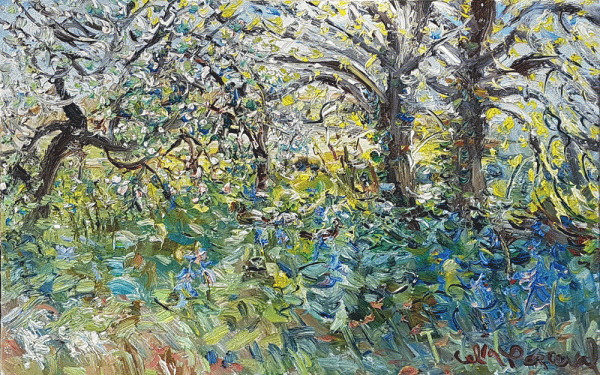 Item #3898 Ducks in the Bluebells with Apple Blossom and Beech Trees, The Rodd, Wales. Celia Perceval.