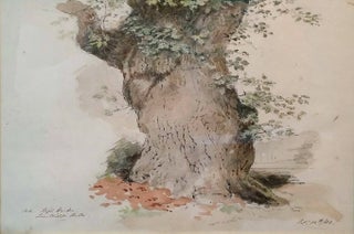 Item #3940 Old Oak Tree, Tunbridge Wells, 1888. William Strutt