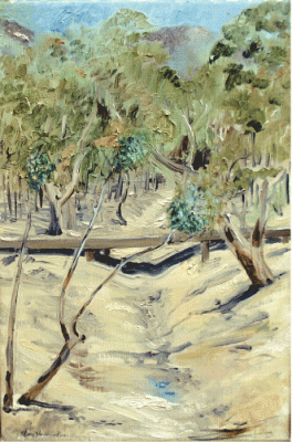 Item #403 Dried Out Creek, You Yangs 2002. Mary Hammond.