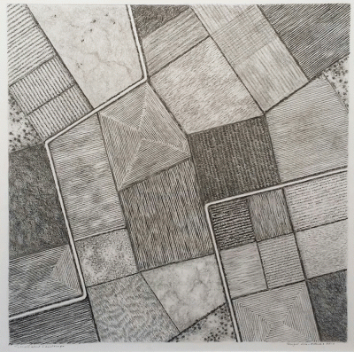 Item #4156 Tessellated Landscape 2010. Brigid Cole-Adams.