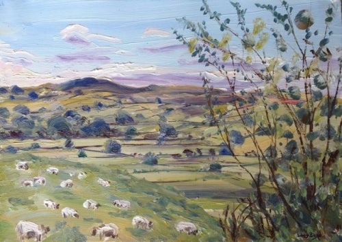 Item #4273 Sheep, Radnor Valley, Wales 2014. Lucy Boyd.