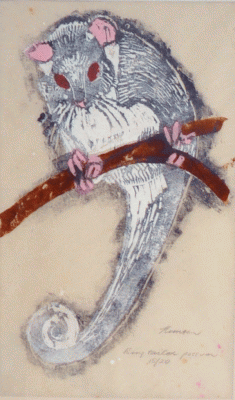Item #441 Ringtail Possum 1975. Nada Hunter.