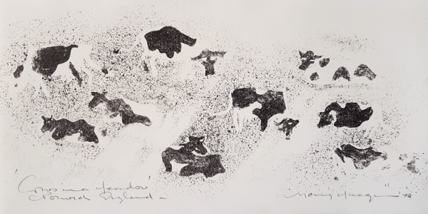 Item #4419 Cows In A Meadow, Norwich, England 1970. Mary Macqueen.