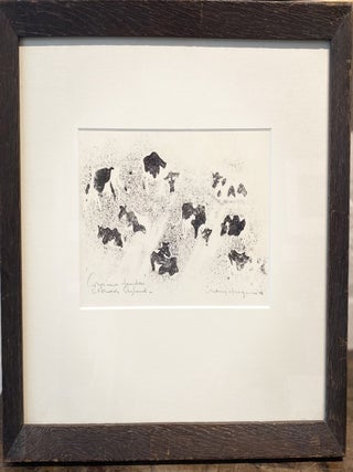 Cows In A Meadow, Norwich, England 1970