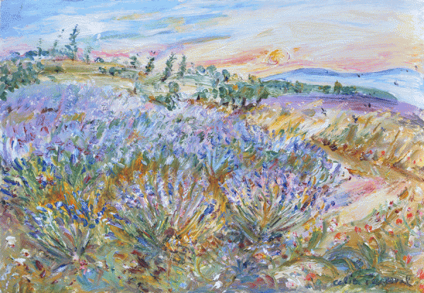 Item #4464 Lavender Farm at Sunset, St Jean de Sault, Provence 2016. Celia Perceval.