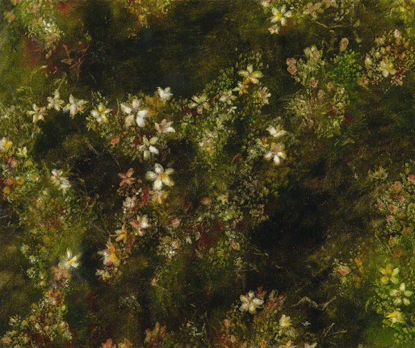 Item #4477 Frankenia Pauciflora (Southern Sea-Heath) 2016. Kylie Elkington.