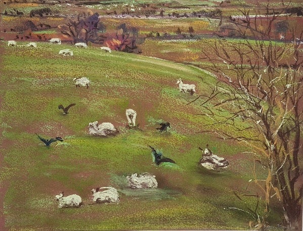 Item #4589 Sheep Grazing with Birds, Radnor Valley. Lucy Boyd.