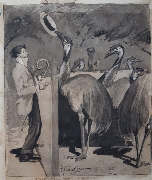 Item #4627 At the Zoo - Entertaining the Emus 1900. Harry Garlick.