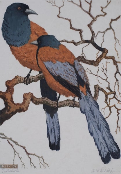 Item #4746 Birds 1929. Martin E. Philipp.