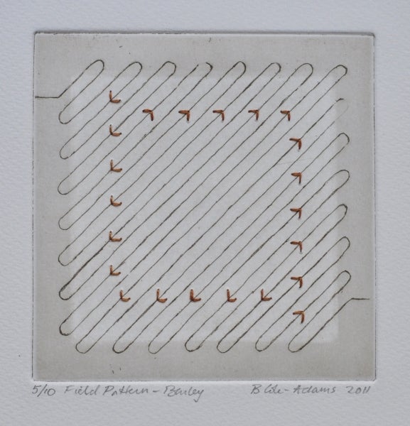 Item #5016 Field Pattern, Barley 2011. Brigid Cole-Adams.