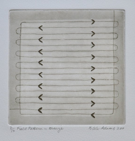 Item #5017 Field Pattern, Maize 2011. Brigid Cole-Adams.
