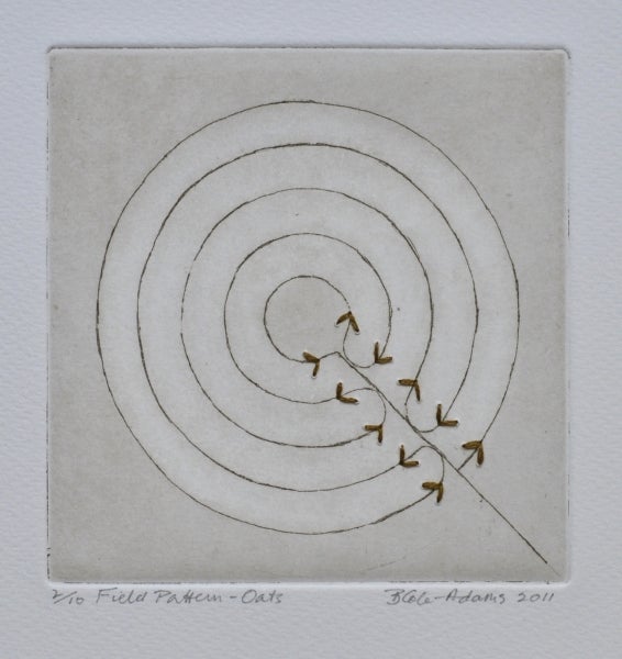 Item #5018 Field Pattern, Oats 2011. Brigid Cole-Adams.