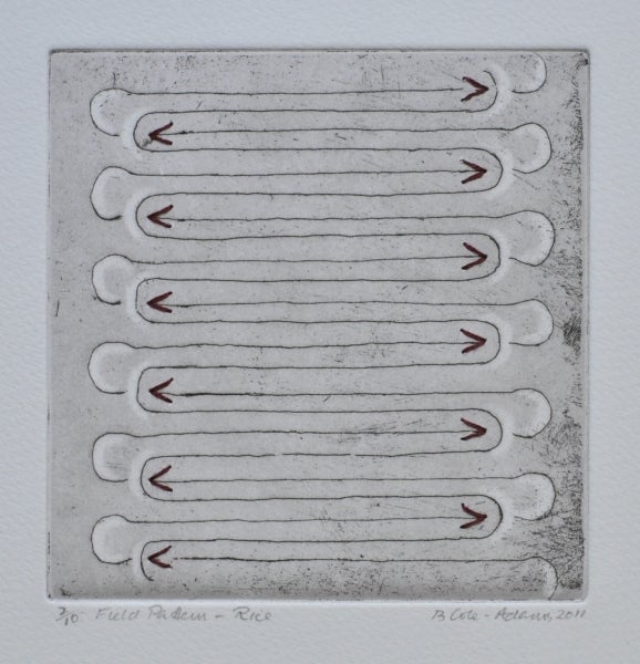 Item #5019 Field Pattern, Rice 2011. Brigid Cole-Adams.