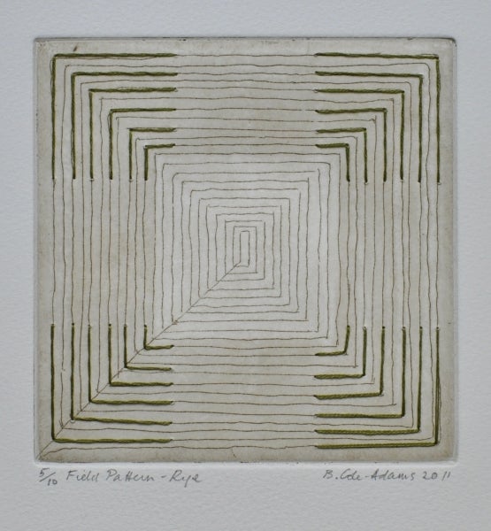 Item #5020 Field Pattern, Rye 2011. Brigid Cole-Adams.