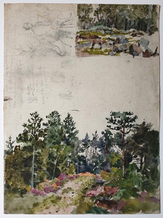 Garden Study