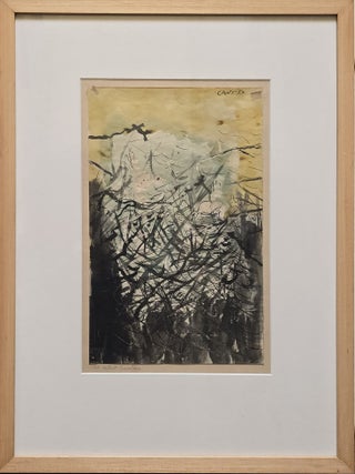 The Insect Hunters 1959