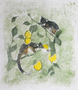 Item #5290 Ringtailed Possums in Lemon Tree 1986. Joyce Meier