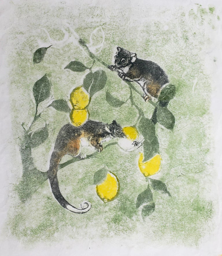Item #5290 Ringtailed Possums in Lemon Tree 1986. Joyce Meier.