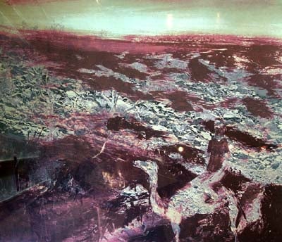 Item #530 Burke and Wills Expedition II 1975. Sidney Nolan.