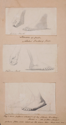 Item #5392 Three Studies of Feet, Atelier Drolling, Paris. William Strutt