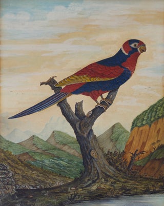 Item #5400 Parrot Perched in a Mountainous Landscape with Figures in the Distance circa...